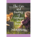 The Care & Feeding of Orphans and Strays