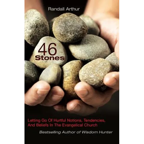 46 Stones: Letting Go Of Hurtful Notions, Tendencies, And Beliefs In The Evangelical Church