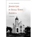 Jewish Life in Small-Town America: A History