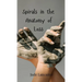 Spirals in the Anatomy of Loss