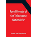 Fossil Forests of the Yellowstone National Par