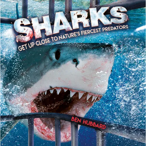 Sharks: Get Up Close to Nature's Fiercest Predators