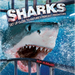 Sharks: Get Up Close to Nature's Fiercest Predators