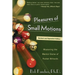 Pleasures of Small Motions: Mastering the Mental Game of Pocket Billiards