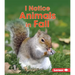 I Notice Animals in Fall