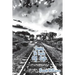 Crossing the Tracks of Life: Inspirational Poetry
