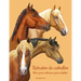 Retratos de caballos libro para colorear para adultos