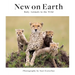 New on Earth: Baby Animals in the Wild