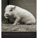 Allowed to Grow Old: Portraits of Elderly Animals from Farm Sanctuaries
