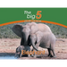 Elephant: The Big 5 and other wild animals