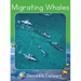 Migrating Whales: Fluency Launch