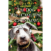 The Dog Who Came for Christmas
