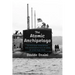 The Atomic Archipelago: Us Nuclear Submarines and Technopolitics of Risk in Cold War Italy