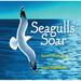 Seagulls Soar