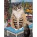 Mimi Vang Olsen Cats Color Bk