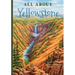 All about Yellowstone