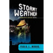 Stormy Weather: A Charlotte Justice Novel