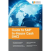 Guide to SAP In-House Cash (IHC)