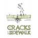 The Cracks In The Sidewalk: Poems For Kids