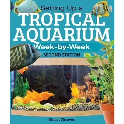 Setting Up a Tropical Aquarium: Week by Week