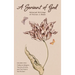 A Servant of God: Selected Writings of Fulton J. Sheen: Volume One: Preface to Religion, The Life of Christ, and The Priest is Not His O