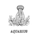 Aquarius: Coloring Book with Three Different Styles of All Twelve Signs of the Zodiac. 36 Individual Coloring Pages. 8.5 x 11