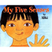 My Five Senses