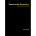 Selenium By Example - Volume II: Selenium RC