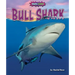 Bull Shark