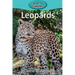 Leopards