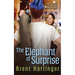 The Elephant of Surprise