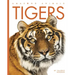 Tigers