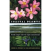 Coastal Plants from Cape Cod to Cape Canaveral
