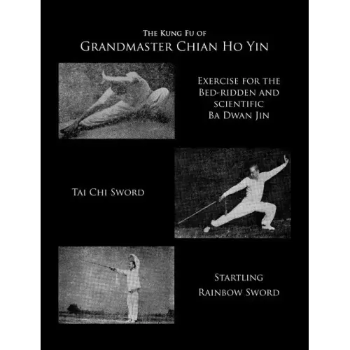 The Kung Fu of Grandmaster Chian Ho Yin