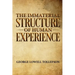 The Immaterial Structure of Human Experience