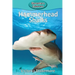 Hammerhead Sharks