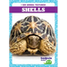 Shells