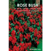 Rose Bush: Learn How To Grow A Rose Bush From A Bud, Bloom or Beyond