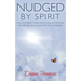 Nudged By Spirit