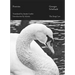 Poetries