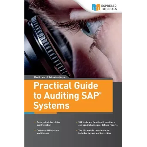 Practical Guide to Auditing SAP Systems