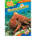 Octopuses