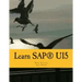 Learn SAPUI5: The new enterprise Javascript framework with examples