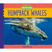 Humpback Whales