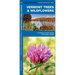 Vermont Trees & Wildflowers: A Folding Pocket Guide to Familiar Plants