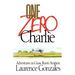 One Zero Charlie: Adventures in Grass Roots Aviation