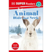 DK Super Readers Level 3 Animal Hide and Seek