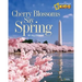 Cherry Blossoms Say Spring