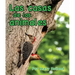Las Casas de Los Animales: (Animal Homes in Spanish)