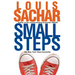 Small Steps